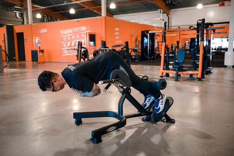 5 exercises for back pain - photo 8.1
