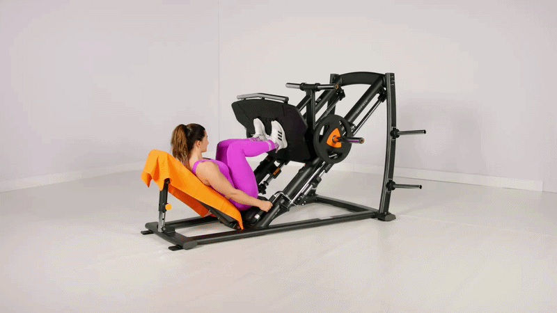Leg Press