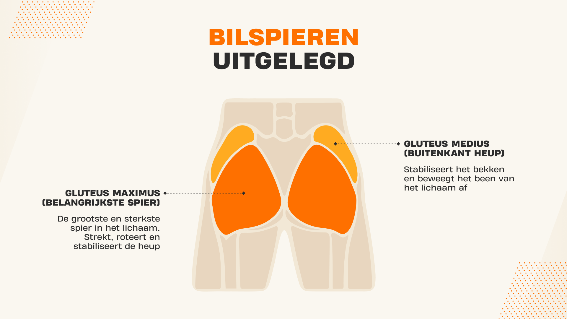 Uitleg Bilspier